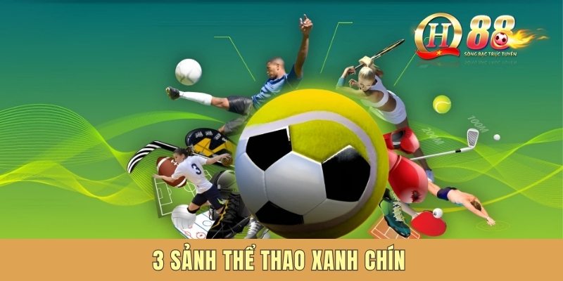 3 sảnh thể thao xanh chín