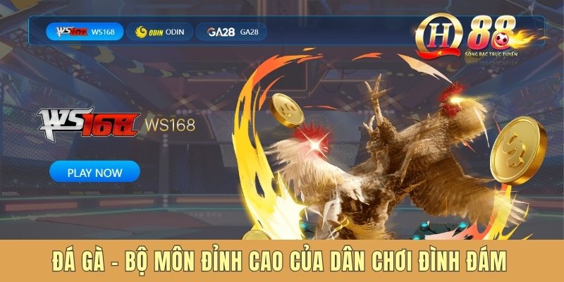Đá gà – Bộ môn đỉnh cao của dân chơi đình đám