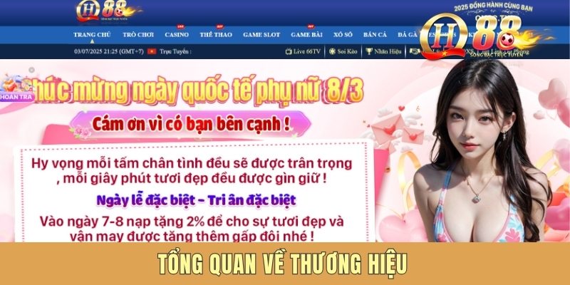 Tổng quan về sân chơi